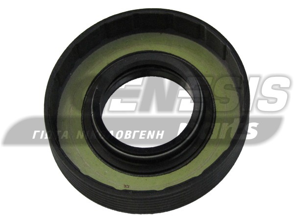 ΤΣΙΜΟΥΧA ΠΛΥΝΤΗΡΙΟY SIEMENS 35X72X10/12 image