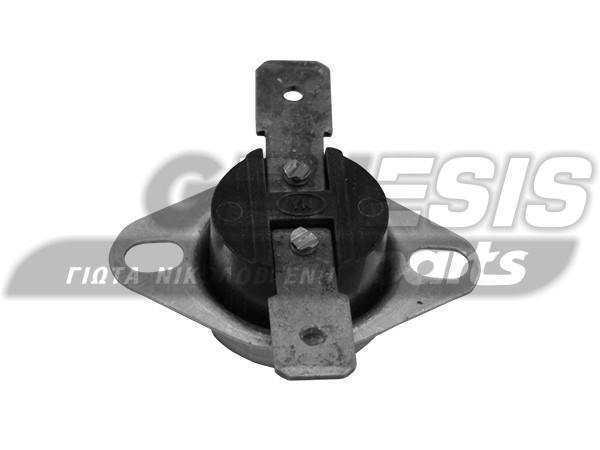 ΘΕΡΜΟΣΤΑΤΗΣ ΑΣΦΑΛΕΙΑΣ 120C NC image